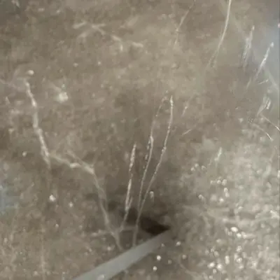 Rock and Masonry Damage on Glass