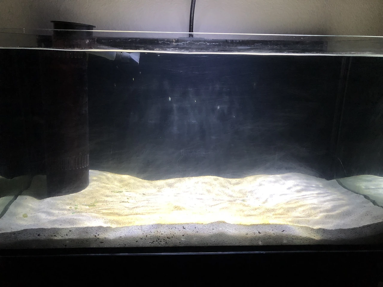 Aquarium with pronounced white waterline residue