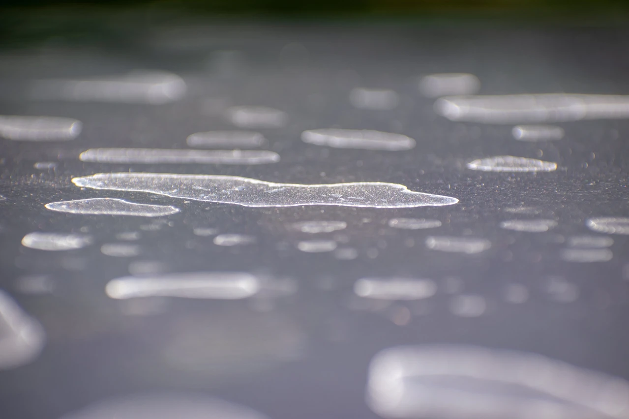 hard-water deposit photograph