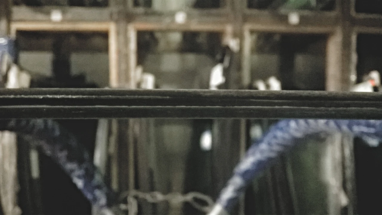 Laminated-glass edge — plies and interlayer