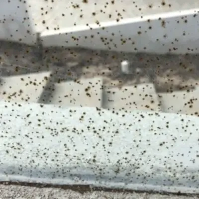 Hot-metal weld spatter on glass—not confirmed flux slag